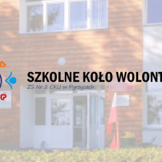 Szkolne Koło Wolontariatu - drugi rok działalności