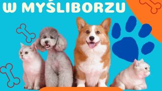 Zbiórka dla schroniska w Myśliborzu