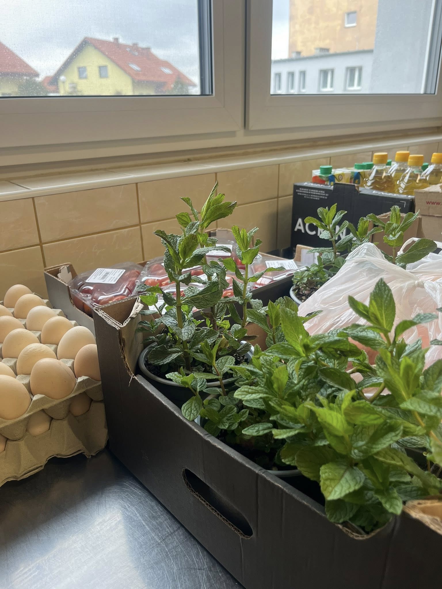 Przeprowadzenie egzaminów zawodowych w części praktycznej dla kwalifikacji HGT.02 w zawodzie technik żywienia i usług gastronomicznych oraz kucharz. - Obrazek 13