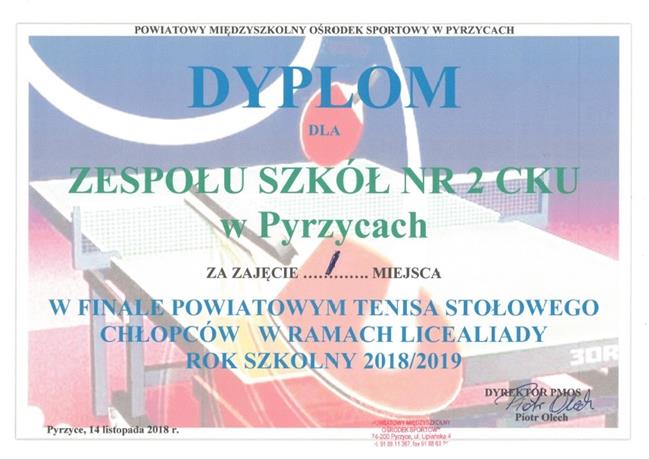 Dyplomy i certyfikaty - Obrazek 16