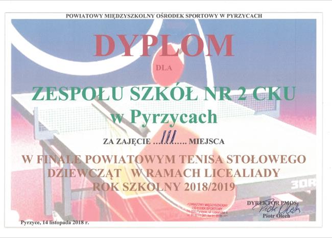 Dyplomy i certyfikaty - Obrazek 16