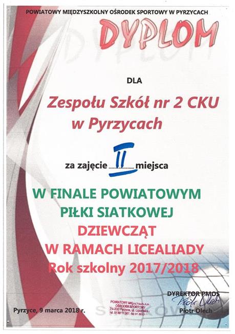 Dyplomy i certyfikaty - Obrazek 28
