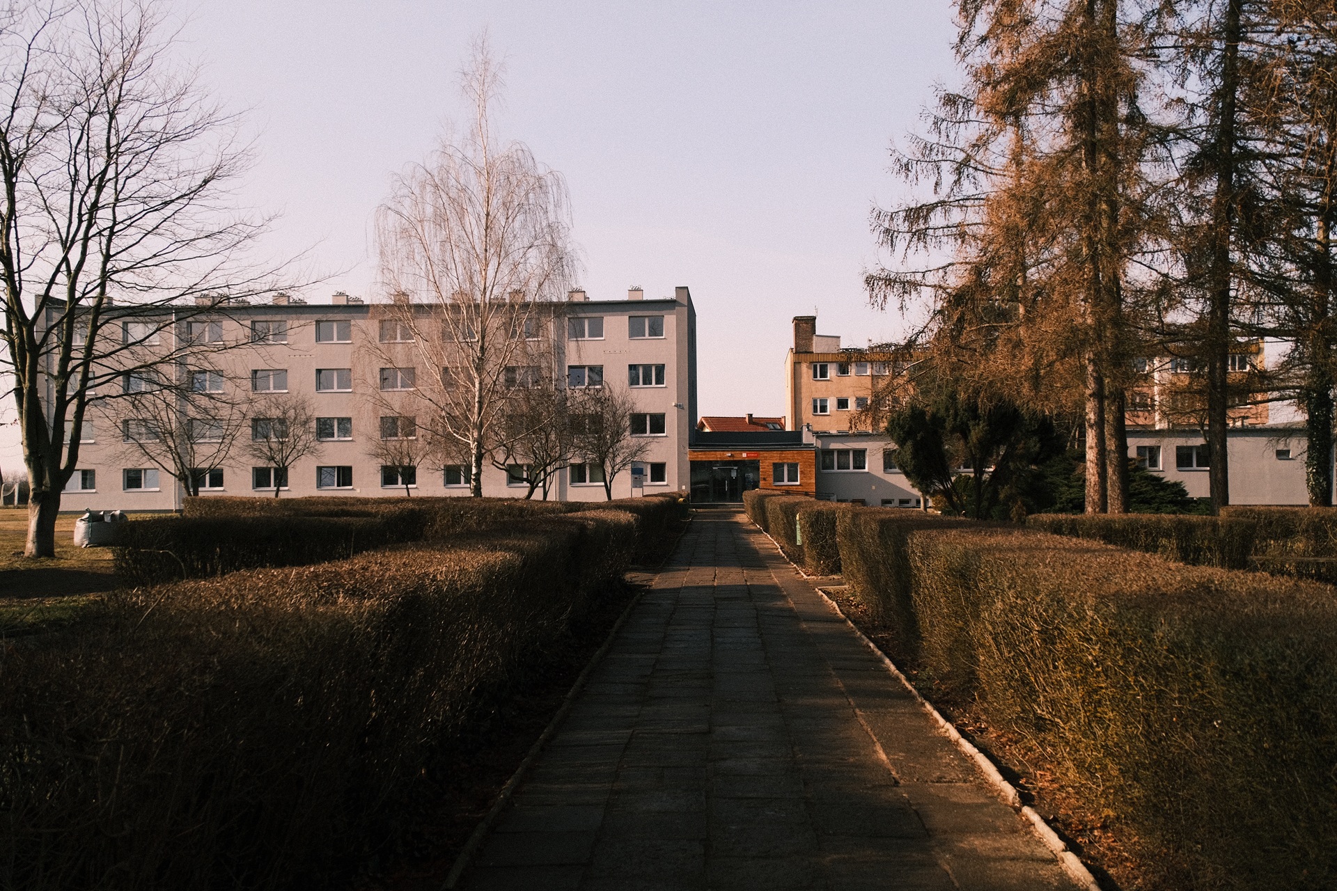 Szkoła w obiektywie - Obrazek 13